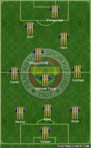 Fenerbahçe SK Formation 2015