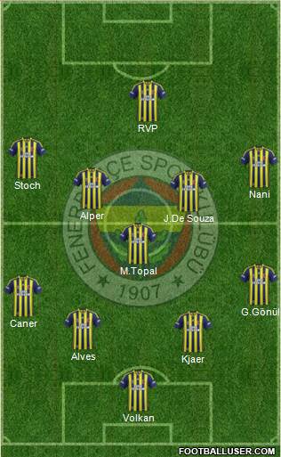 Fenerbahçe SK Formation 2015