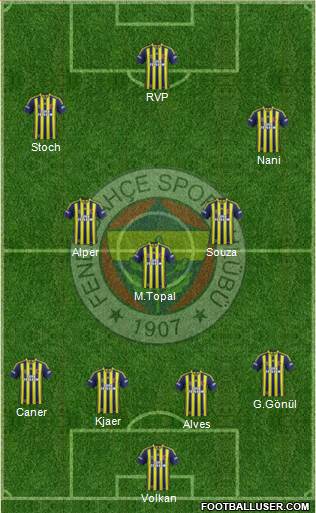 Fenerbahçe SK Formation 2015