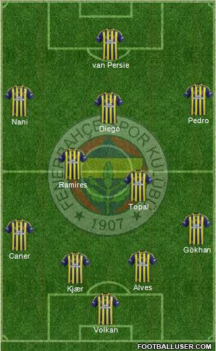 Fenerbahçe SK Formation 2015