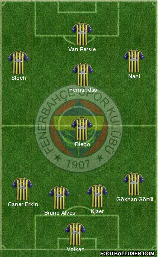 Fenerbahçe SK Formation 2015