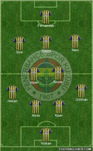 Fenerbahçe SK Formation 2015