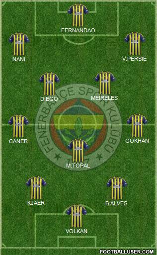 Fenerbahçe SK Formation 2015