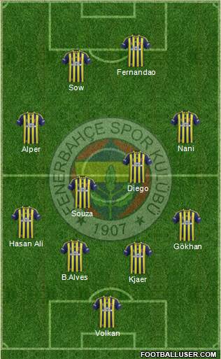 Fenerbahçe SK Formation 2015