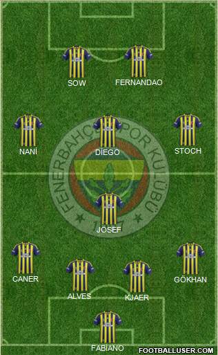 Fenerbahçe SK Formation 2015