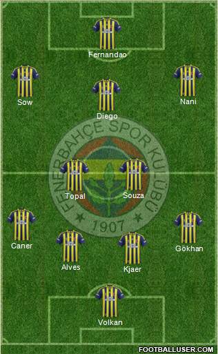 Fenerbahçe SK Formation 2015