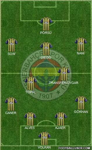 Fenerbahçe SK Formation 2015