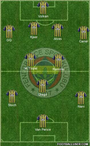 Fenerbahçe SK Formation 2015