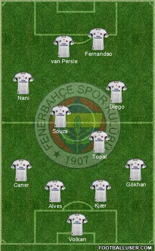 Fenerbahçe SK Formation 2015