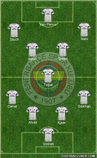 Fenerbahçe SK Formation 2015