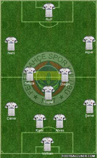 Fenerbahçe SK Formation 2015