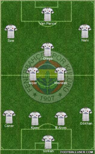 Fenerbahçe SK Formation 2015