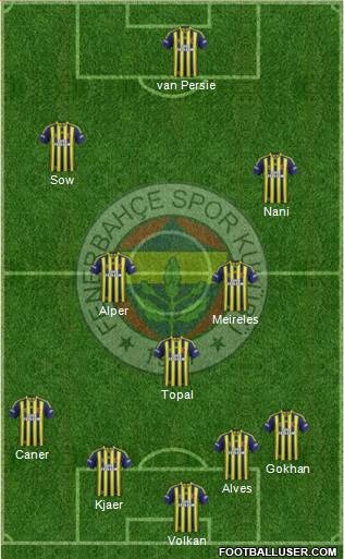 Fenerbahçe SK Formation 2015
