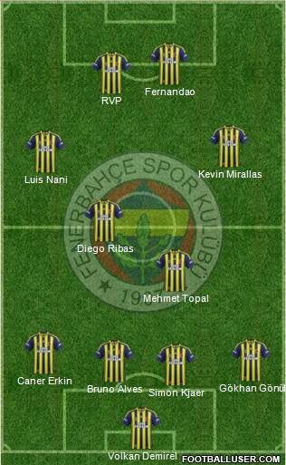 Fenerbahçe SK Formation 2015