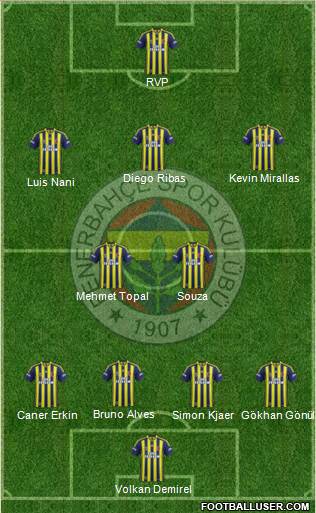 Fenerbahçe SK Formation 2015