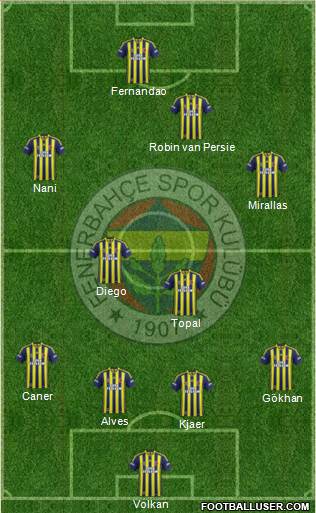 Fenerbahçe SK Formation 2015