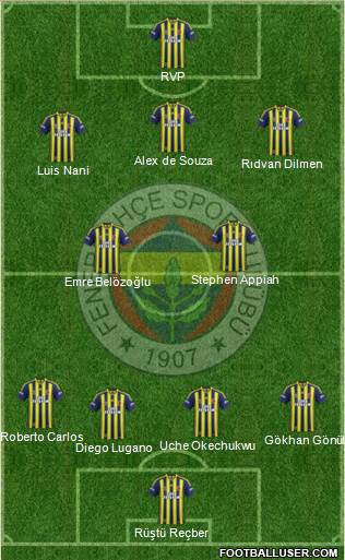 Fenerbahçe SK Formation 2015