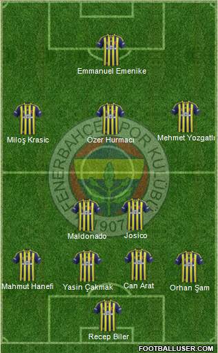 Fenerbahçe SK Formation 2015