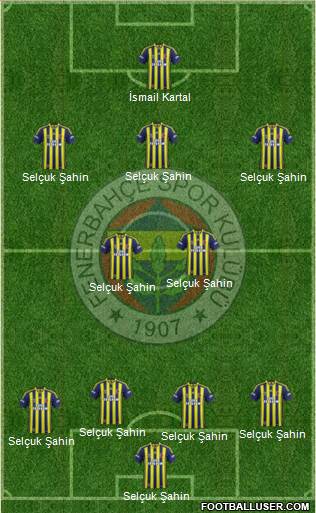 Fenerbahçe SK Formation 2015