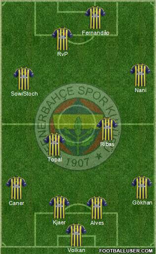 Fenerbahçe SK Formation 2015