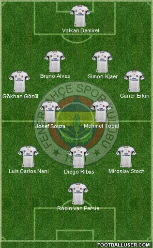 Fenerbahçe SK Formation 2015