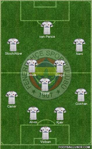 Fenerbahçe SK Formation 2015
