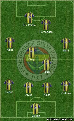 Fenerbahçe SK Formation 2015