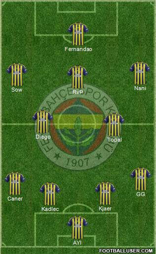 Fenerbahçe SK Formation 2015
