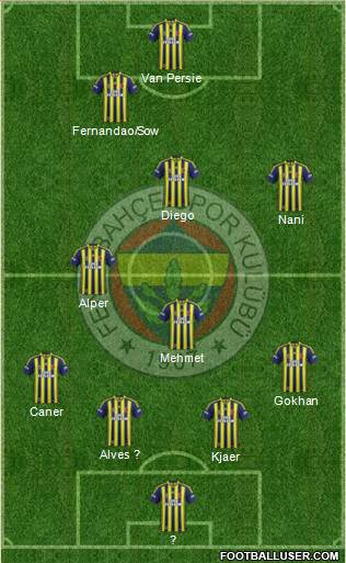 Fenerbahçe SK Formation 2015