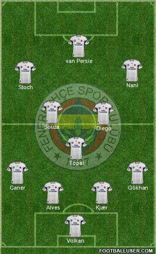 Fenerbahçe SK Formation 2015
