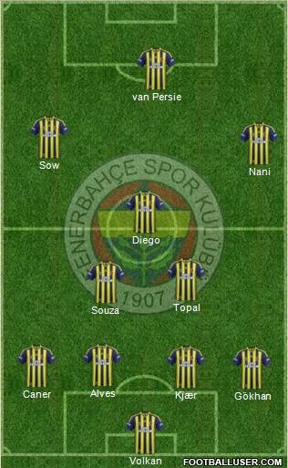 Fenerbahçe SK Formation 2015