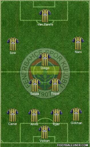 Fenerbahçe SK Formation 2015