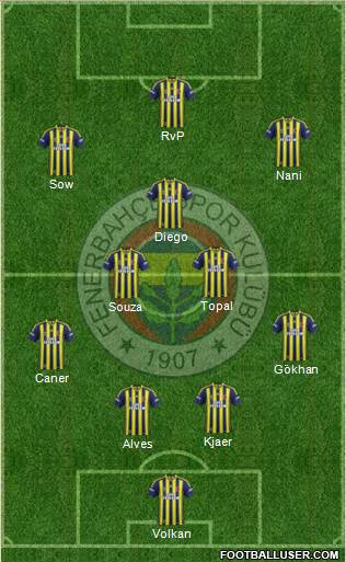 Fenerbahçe SK Formation 2015