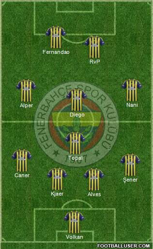 Fenerbahçe SK Formation 2015