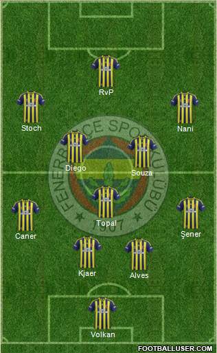 Fenerbahçe SK Formation 2015