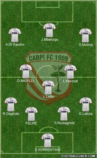 Carpi Formation 2015