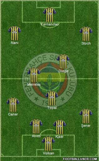 Fenerbahçe SK Formation 2015