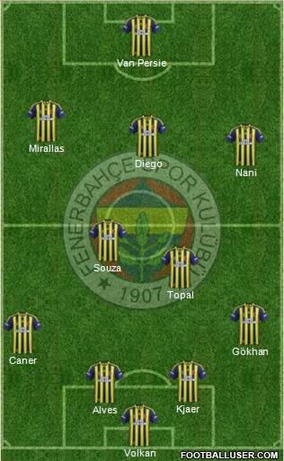 Fenerbahçe SK Formation 2015