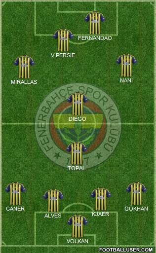 Fenerbahçe SK Formation 2015