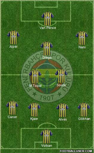 Fenerbahçe SK Formation 2015