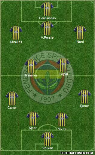 Fenerbahçe SK Formation 2015