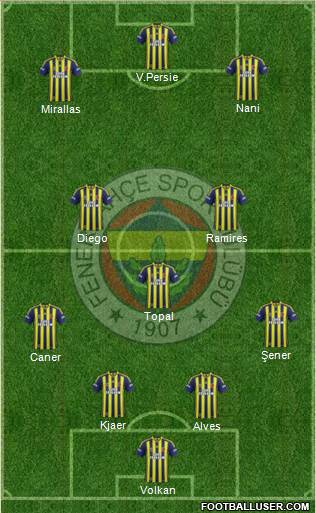 Fenerbahçe SK Formation 2015