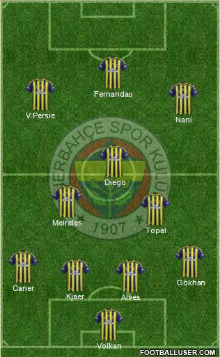 Fenerbahçe SK Formation 2015