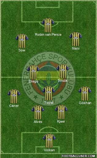 Fenerbahçe SK Formation 2015