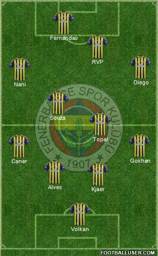 Fenerbahçe SK Formation 2015