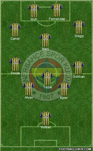 Fenerbahçe SK Formation 2015