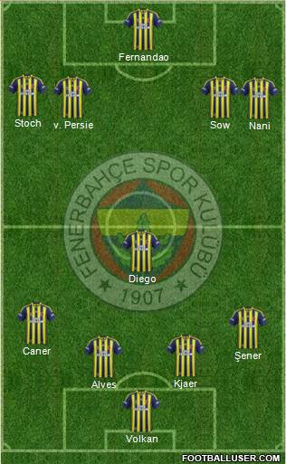 Fenerbahçe SK Formation 2015