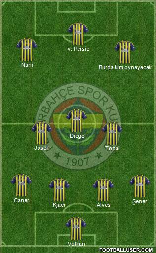 Fenerbahçe SK Formation 2015