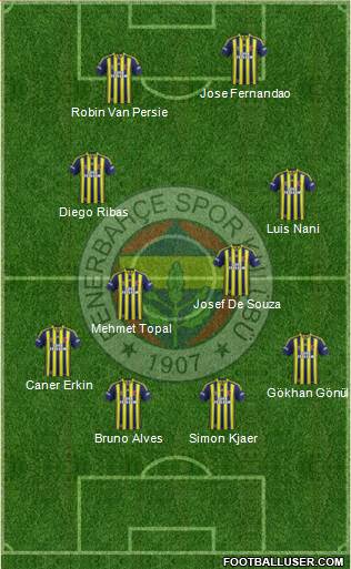Fenerbahçe SK Formation 2015