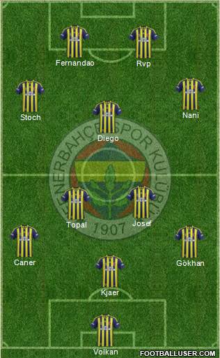 Fenerbahçe SK Formation 2015
